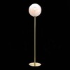 Миниатюра фото торшер st luce cassius sl1190.205.01 | 220svet.ru