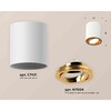 Миниатюра фото комплект накладного светильника ambrella light techno spot xs7421003 swh/pyg белый песок/золото желтое полированное (c7421, n7004) | 220svet.ru