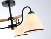Миниатюра фото потолочная люстра ambrella light traditional modern tr3033241 | 220svet.ru