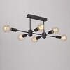 Миниатюра фото потолочная люстра vitaluce v3989-1/6pl | 220svet.ru