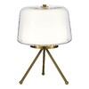 Миниатюра фото настольная лампа st luce pandora sl6127.304.01 | 220svet.ru