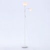 Миниатюра фото торшер ambrella light traditional tr97622 | 220svet.ru