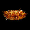 Миниатюра фото потолочный светильник loft it clizia 10593/780c gold | 220svet.ru