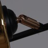 Миниатюра фото потолочная люстра reluce 11555-0.3-04 bk+fgd | 220svet.ru