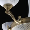 Миниатюра фото подвесная люстра mw-light афродита 317014909 | 220svet.ru