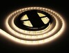 Миниатюра фото светодиодная влагозащищенная лента теплый белый ambrella light 9,6w/m 120led/m 2835smd 5m gs1201 | 220svet.ru