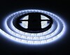 Миниатюра фото светодиодная влагозащищенная лента холодный белый ambrella light 9,6w/m 120led/m 2835smd 6500к 5m gs1203 | 220svet.ru