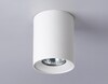 Миниатюра фото накладной светильник ambrella light techno spot techno tn213136 | 220svet.ru
