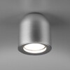 Миниатюра фото потолочный светильник elektrostandard ogma dln116 gu10 серебро a050674 | 220svet.ru