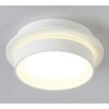 Миниатюра фото потолочный светильник ambrella light tn5383 | 220svet.ru