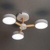 Миниатюра фото потолочная светодиодная люстра ritter scandia 51589 4 | 220svet.ru