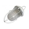 Миниатюра фото светильник feron нсп 02-100-003 53174 | 220svet.ru