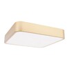 Миниатюра фото потолочный светодиодный светильник loft it flims 10228/c | 220svet.ru