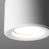 Миниатюра фото потолочный светильник elektrostandard ogma dln116 gu10 белый a050672 | 220svet.ru