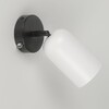 Миниатюра фото бра rivoli rosalinda 3167-401 б0065020 | 220svet.ru