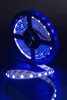Миниатюра фото лента swg 14,4w/m  60led/m 3528smd синий 5m swg560-12-14.4-b-m 009473 | 220svet.ru