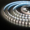 Миниатюра фото светодиодная лента elektrostandard 4,8w/m 60led/m 2835smd дневной белый 5m a050576 | 220svet.ru