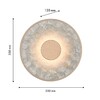 Миниатюра фото настенный светильник favourite solarius 4858-1w | 220svet.ru