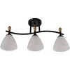 Миниатюра фото потолочная люстра reluce 01589-3.3-03b bk+wood | 220svet.ru
