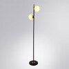 Миниатюра фото торшер arte lamp alcor a2224pn-2bk | 220svet.ru