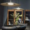 Миниатюра фото подвесной светильник imperium loft kolpao 155047-60 | 220svet.ru