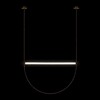 Миниатюра фото подвесной светодиодный светильник loft it liana 10221/2050 | 220svet.ru