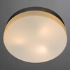 Миниатюра фото потолочный светильник arte lamp shirp a3211pl-3si | 220svet.ru