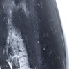Миниатюра фото настольная лампа arte lamp rukbat a5046lt-1bk | 220svet.ru