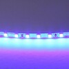 Миниатюра фото светодиодная лента синий lightstar 12w/m 120led/m 5m 420515 | 220svet.ru