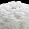 Миниатюра фото подвесной светильник lussole cuscino grlsp-8360 | 220svet.ru