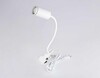Миниатюра фото настольная лампа ambrella light wallers fw2467 | 220svet.ru