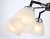 Миниатюра фото потолочная люстра ambrella light tr303294 | 220svet.ru
