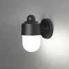 Миниатюра фото уличный настенный светильник escada 30008w/01 | 220svet.ru