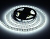 Миниатюра фото светодиодная лента холодный белый ambrella light 24w/m 240led/m 2835smd 6500к 5m gs1703 | 220svet.ru