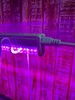 Миниатюра фото настенный светодиодный светильник для растений uniel uli-p21-24w/spsb ip40 white ul-00008921 | 220svet.ru