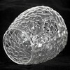 Миниатюра фото потолочная люстра lussole lgo lsp-8720 | 220svet.ru