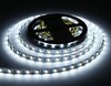 Миниатюра фото светодиодная лента теплый - холодный белый ambrella light 14w/m 60led/m 5050smd 3000-6500к 5m gs4101 | 220svet.ru