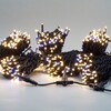 Миниатюра фото комплект 3 тепло-белых нити по 20м с мерцанием белого диода, 600 led, провод черный каучук 2,3мм, ip54 ltc eco600blw-11-1ww | 220svet.ru