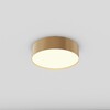 Миниатюра фото потолочный светодиодный светильник maytoni zon c032cl-24w3k-rd-mg | 220svet.ru