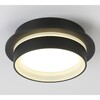 Миниатюра фото потолочный светильник ambrella light tn5385 | 220svet.ru