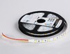 Миниатюра фото светодиодная лента теплый - холодный белый ambrella light 14w/m 60led/m 5050smd 3000-6500к 5m gs4101 | 220svet.ru