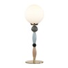 Миниатюра фото настольная лампа odeon light modern palle 5405/1t | 220svet.ru