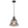 Миниатюра фото подвесной светильник arte lamp amiata a4255sp-1sm | 220svet.ru