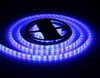 Миниатюра фото светодиодная влагозащищенная лента ambrella light 14,4w/m 60led/m 5050smd rgb 5m gs2302 | 220svet.ru
