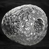 Миниатюра фото потолочная люстра lussole lgo lsp-8720 | 220svet.ru