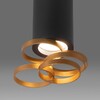 Миниатюра фото потолочный светильник elektrostandard dln102 gu10 черный/золото a047747 | 220svet.ru