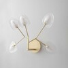 Миниатюра фото бра crystal lux sole ap5 gold | 220svet.ru