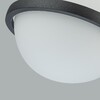 Миниатюра фото подвесной светодиодный светильник favourite ringar 4502-1p | 220svet.ru