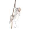 Миниатюра фото подвесной светильник loft it monkey 10314p | 220svet.ru