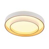 Миниатюра фото потолочный светодиодный светильник myfar ceiling rhea mr9161-cl | 220svet.ru
